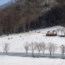 별의궁전 이미지