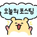 노리터체육