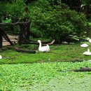 연못들5 이미지