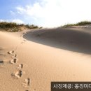 옥죽동해변 Daum카페