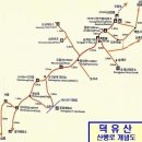 바람속의 덕유산(德裕山) 이미지