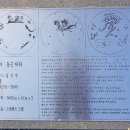 둥근바다