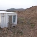 곽지리 경로당 Daum카페