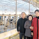 충남목장 이미지