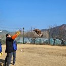 조류보호협회 밀양시지회 케이에스피뉴스
