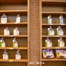 사랑이 있는 어린이 동산 | 10월 제주 동쪽 여행 제주 핑크뮬리 명소 제주도 허브동산