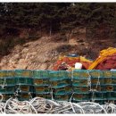 천리포선착장 이미지