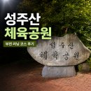 긴방천체육공원 화장실 | [부천 러닝코스 추천] 조깅하기 좋은 부천 성주산 체육공원