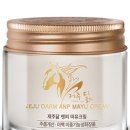 제주담