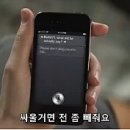 시리 네이버블로그