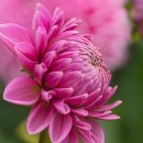 미림골프연습장 이미지