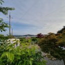 그림나래 이미지