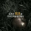 신기인력 이미지