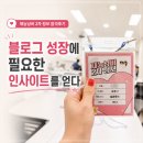 삼경전자 - 종로구 청계천로 159 | 재능냥비 2차 정모 참석후기, 블로그 성장에 필요한 인사이트를 얻다
