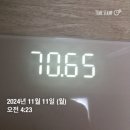 토요저널주 | 24년 11월 2~3주차_정체기는 벗어났는데요, 그런데요.