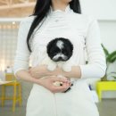 테디 켄넬 | 대구강아지무료분양 테디럽 다들 부러워해