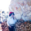 해피투어 이미지