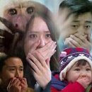 돈신댓잎갈비 네이버블로그
