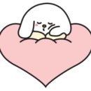 (주)크리스탈소프트 이미지