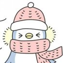 은혜목회정보 이미지