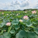 농업기술센터1층 화장실 이미지