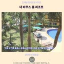 후아힌 추천 숙소 더 바쿠스 홈 리조트 후기