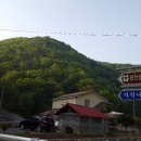 장태산자작나무펜션 이미지