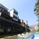 파인비치A 이미지