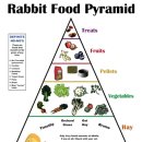 대한토끼 이미지