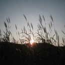 (주)혜원 이미지