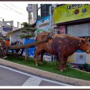 횡성한우 이미지