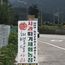 정명호농장 네이버블로그
