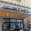 Happy 애견샵 | 강릉네일샵 네일의행복 – 회색 자석 젤네일 하고 온 후기 (포남동네일)