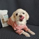 굳디컴퍼니