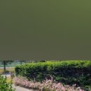 몸신흑염소전문점 이미지