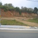 서신면사무소 이미지