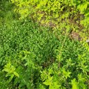 크로바경로당 이미지