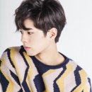 박보검 카카오 검색결과
