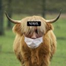 한시오분 이미지