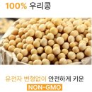 순수바이오 연구소 | 🥛 [내돈내산 후기] 다이어트 급찐급빠에도 찰떡! 아이도 좋아한 국민바이오 제주나물콩두유 💛