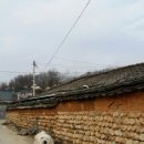 아름애견 이미지