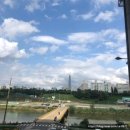 삼성 코엑스 주차장팁/탄천공영주차장/코엑스 가볼만한곳 추천