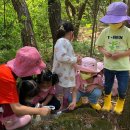 근화어린이집 이미지