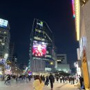 터미널5길 | 연세대학교 교육대학원 합격 후기 고속터미널에서 연세대 가는법