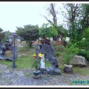 아름다움을먹다 이미지