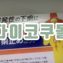 드럭스토어동행 - 여주시 | 일본 스토파ex 일본 지사제 설사약 드럭스토어 평판
