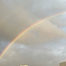 범석농장 | [직장인 10월 일기] 넷플릭스 28년후/굿뉴스/자도르 레몬글레이즈드 마들렌 만들기/코지타벨리니 접시...