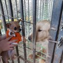 킴스케빈 이미지