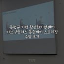 증평군 지역 활성화 지원센터 이브닝 플러스 통증케어 스트레칭 수업 후기