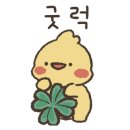 레드스토리 이미지